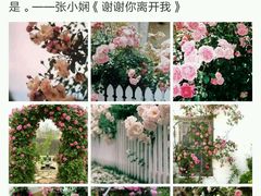 -万利隆·活力烘焙(人民路店)