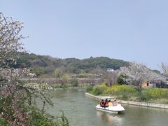 -苏州上方山国家森林公园
