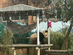 -苏州太湖国家湿地公园
