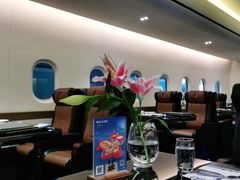 -法兰度航空主题餐厅(河源店)