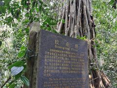-中国科学院西双版纳热带植物园