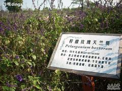 SPA55164-苏州太湖西山岛开心农场