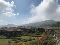 -优游吧斯邹族文化部落