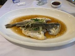 广式蒸黄鱼-骏莱海鲜鱼港(五角场店)