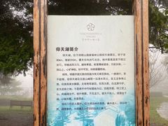 -四明山国家森林公园