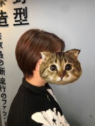 点击看大图 -藤野造型