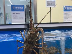 -盒马X会员店(王府井奥莱UP TOWN店)