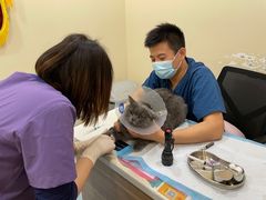 -萌兽医馆·犬猫专科·眼科中心·宠物医院(朝阳门分院)