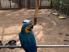 -南宫五洲植物乐园