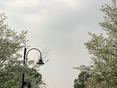 -东湖落雁景区