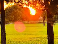 -汉长安城未央宫国家考古遗址公园