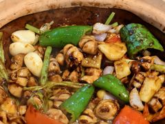 -天宝食坊·啫啫煲大排档(西华路店)