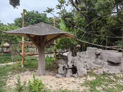 -深圳野生动物园