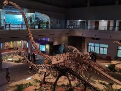 -自贡恐龙博物馆