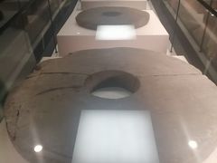 -四川大学博物馆