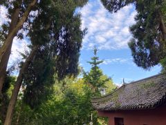 -都江堰普照寺