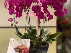 -Angkor SPA 柬埔寨古法按摩(环贸店)