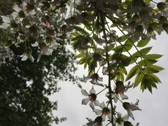 -长春公园(普阳街道)