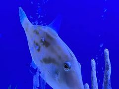 -秦皇岛新澳海底世界