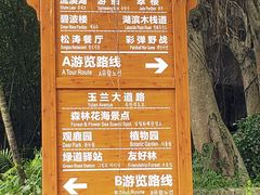 -广州市流溪河国家森林公园