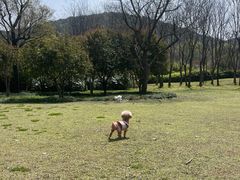 -宝界山林公园