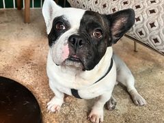 -Burger Bar 山沐西餐吧(钟村店)