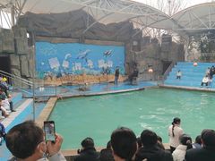 -合肥野生动物园