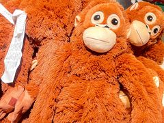 -宜家家居(高新商场店)