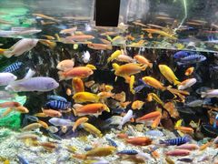 -太平洋海底世界