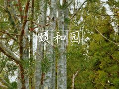 -颐和园