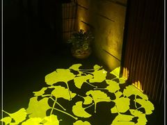 -泰傳奇