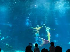 -福州罗源湾海洋世界旅游区