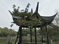 -瀛洲公园