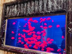 -万宝海鲜舫(劳动公园店)