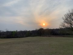 -盘龙城国家考古遗址公园