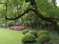 -申粤轩酒楼·三十年粤菜经典(丁香花园店)