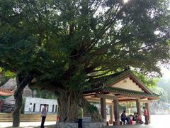 -神光山国家森林公园