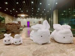 -天目湖涵田半山温泉