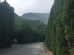 -青龙山生态文化旅游区(慈云寺)