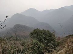-午潮山国家森林公园