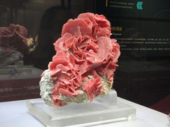 -湖南省地质博物馆