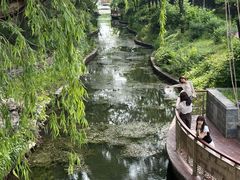 -北坞公园