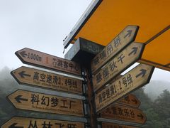 -梦幻奥陶纪景区