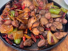 -长春特色烧鸽子(奋斗路店)