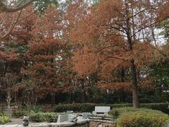 -深圳国际园林花卉博览园