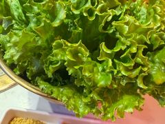 -杨记齐齐哈尔烤肉(总店)