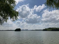 -尚湖风景区