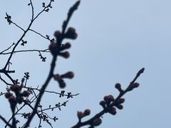 -南开大学(津南校区)