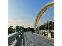 -福田红树林生态公园