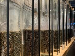 -喜茶(上海打浦桥日月光gelato lab+店)
